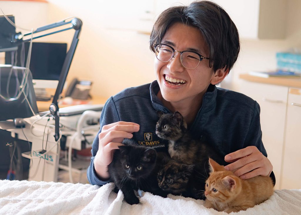 A veterinary student smiles as he cuddles up to four kittens on an exam table in front of him.