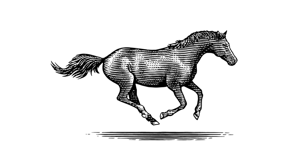Illustration of a horse galloping.