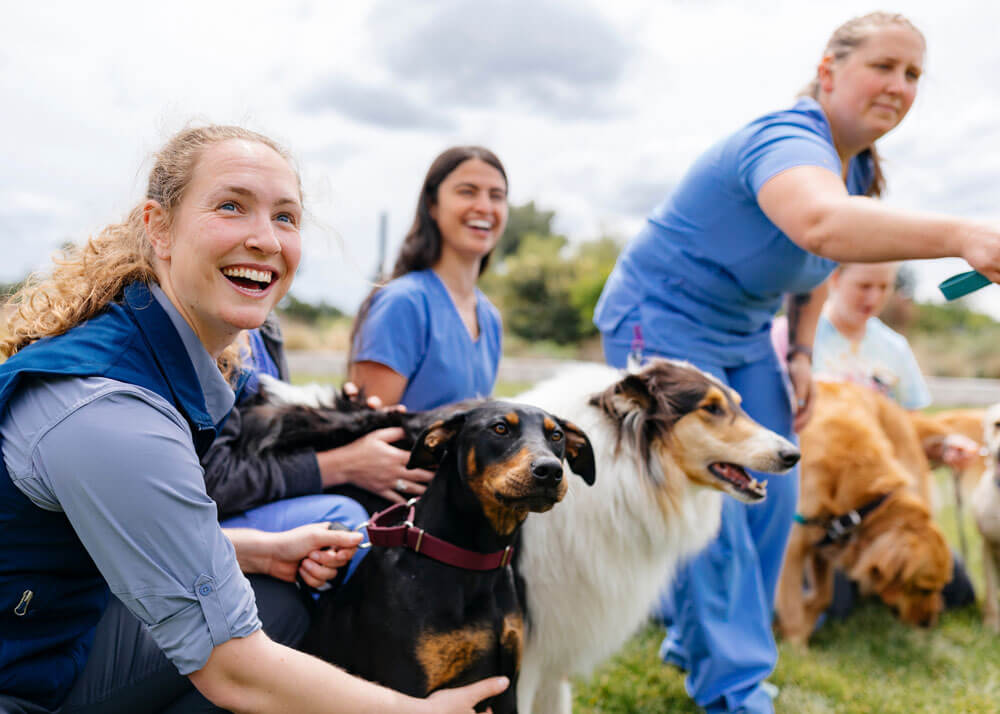 Veterinary students smiling and kneeling down next to various breeds of dogs in an outdoor field.