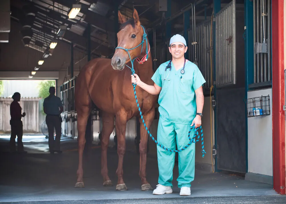 A veterinary student wearing scrubs stands in front of a horse at a stable while holding the horse's reins.