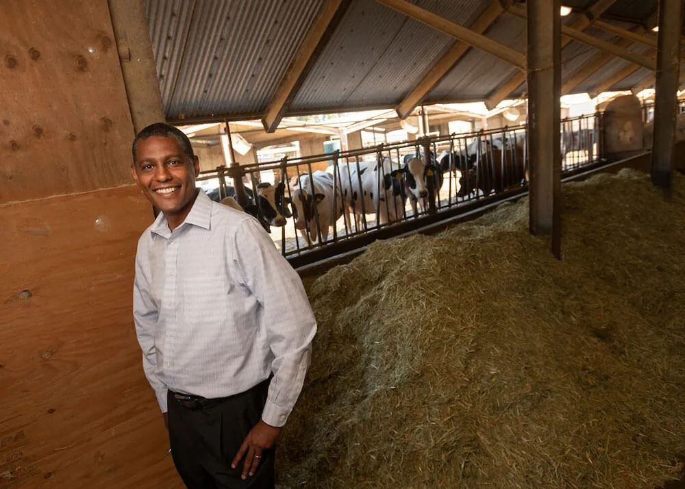 A man stands in the foreground with cows in the background at a large animal exam area.