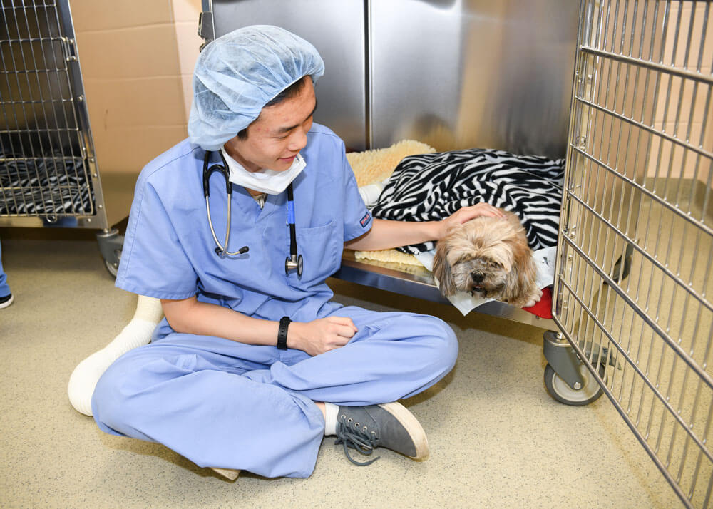A veterinary student sits on the floor next to an open cage where a dog is resting.