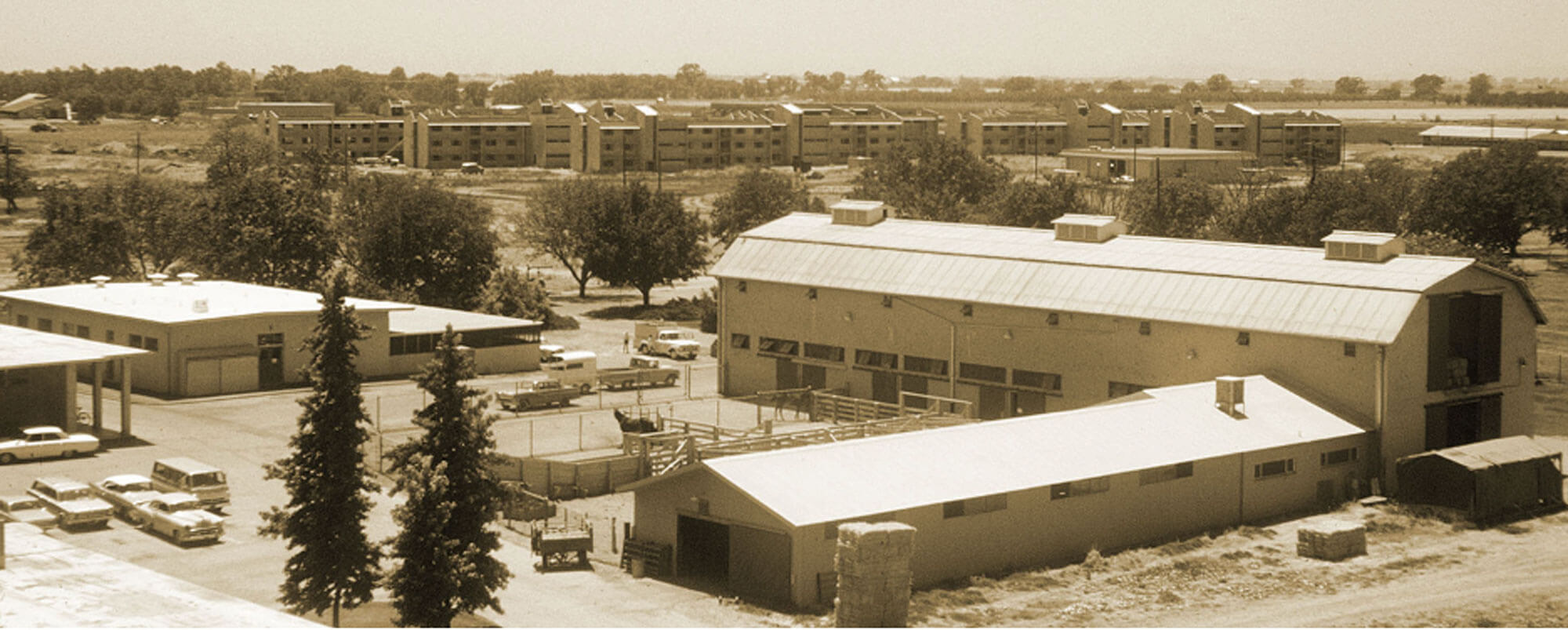 About us, an aerial view of the UC Davis campus in 1966.