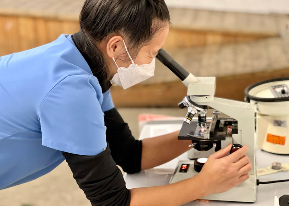A veterinary student wearing scrubs looks through a microscope.