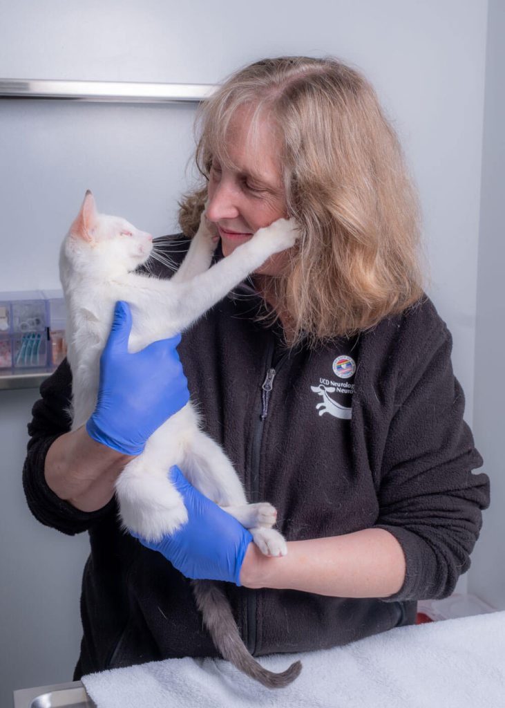 A veterinarian holds up and looks at a white cat as it places its paws on her face.